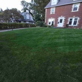 Leaf Removal by Daniel&#039;s lawn care service LLC reviewed on September 28, 2025