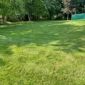 yard care by Chai reviewed on August 16, 2025