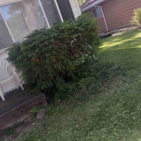 Bush Trimming by RK Lawncare reviewed on August 16, 2025