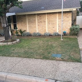 Bush Trimming by M&M Lawn Care reviewed on August 21, 2025