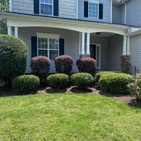 turf maintenance by C&amp;h lawn care reviewed on July 24, 2023