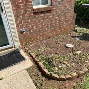 Bush Trimming by In The Box ( ITB ) Lawn Care reviewed on August 16, 2026