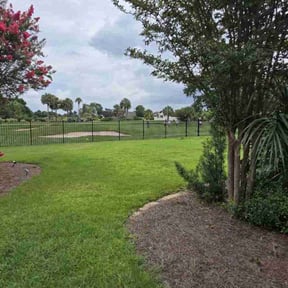 turf maintenance by Maciel Landscaping reviewed on March 28, 2025