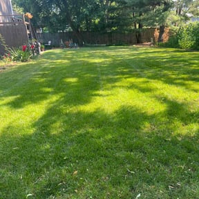 yard maintenance by Frederickson Lawn Management reviewed on August 17, 2025
