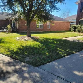 Long Grass Cleanup by Tim's Discount Lawn reviewed on August 16, 2025