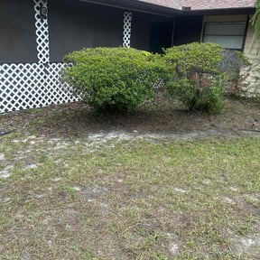 Flower Bed Weeding by A new start lawn service LLC reviewed on November 9, 2025