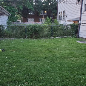 Bush Trimming by T&M Lawn Services reviewed on August 16, 2025
