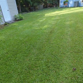 landscaping services by Mama maintenance reviewed on August 21, 2025