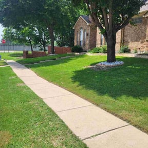 yard care by Jack Catlin reviewed on August 19, 2025