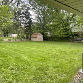 turf care by Williams Lawn Care reviewed on August 20, 2025