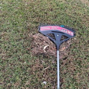 Leaf Removal by Greener side lawn care reviewed on September 17, 2025