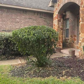 Bush Trimming by Grass Busters llc reviewed on November 5, 2025