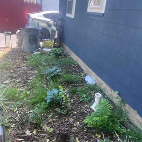 Flower Bed Weeding by JB Mowing reviewed on June 1, 2026
