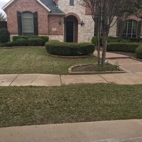 Bush Trimming by House ODonnell Ventures reviewed on August 19, 2025