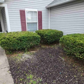 Bush Trimming by Roger waddle service llc reviewed on April 13, 2026