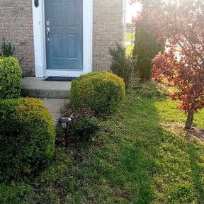 Bush Trimming by Taylor’d Lawn Experience reviewed on August 20, 2025