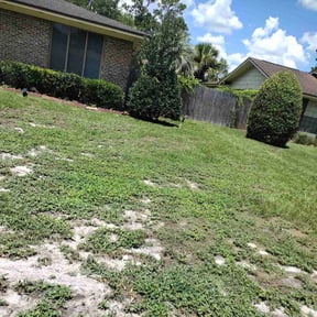 Bush Trimming by CleanMichiganLawnCare reviewed on August 18, 2025