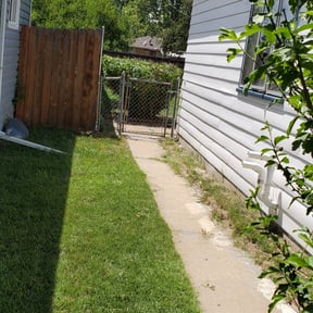 Bush Trimming by Rjm reviewed on August 14, 2025