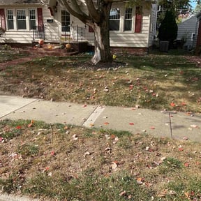 Leaf Removal by Coonradts Lawncare reviewed on November 7, 2025