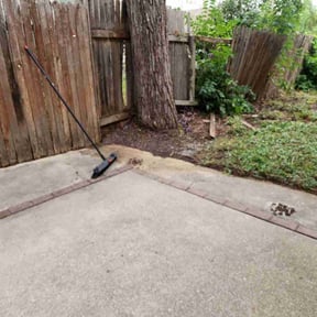 Leaf Removal by Snow Harvester reviewed on September 10, 2025