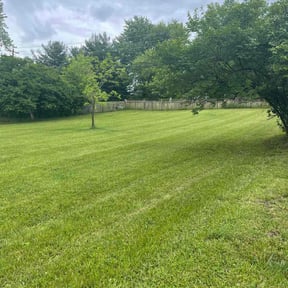 yard work by MOG & Landscaping reviewed on August 20, 2025