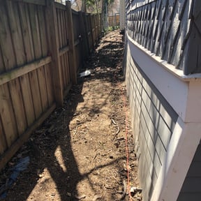 Leaf Removal by EarthCare reviewed on September 7, 2025