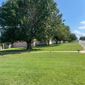 landscaping services by Bello Properties reviewed on August 15, 2025