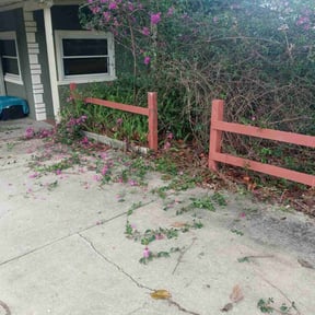 Bush Trimming by Mow & Go reviewed on August 20, 2025