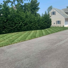 yard work by Ausmus Gardencare reviewed on August 16, 2025