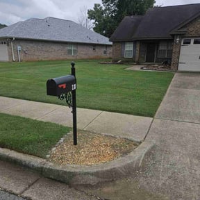 yard maintenance by Beauty of Nature lawncare reviewed on August 18, 2025