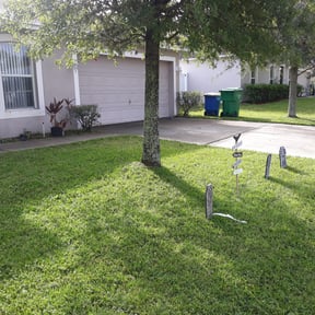 Bush Trimming by Graceful Lawn Care reviewed on August 16, 2025