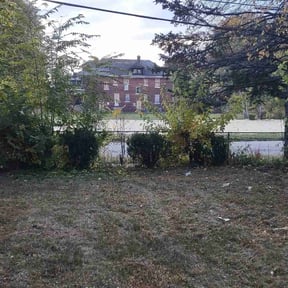 Bush Trimming by Persevere Complete Lawn Care reviewed on August 16, 2025