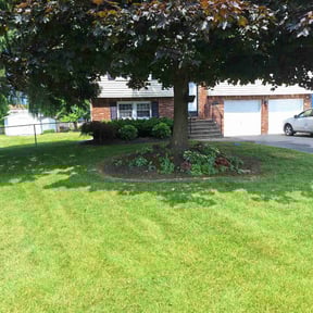 gardening service by Grass Care By the Beach reviewed on August 16, 2025