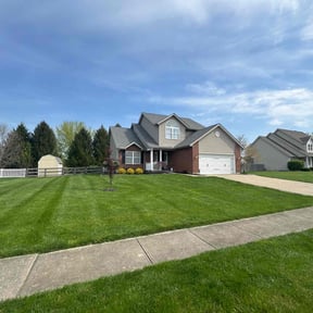 yard service by Richard Enterprise reviewed on July 19, 2025