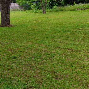 landscaping services by B.O.S. Landscaping and Design INC reviewed on November 26, 2025