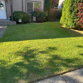 lawn maintenance by Hummingbird Home Services reviewed on May 10, 2025