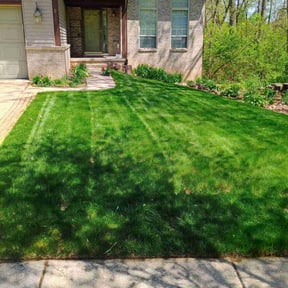 grass cutting by Keep it Loe Lawn Service reviewed on August 20, 2025
