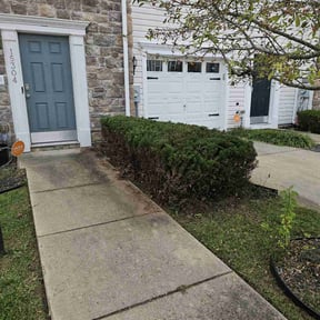 Bush Trimming by Pensacola Lawn & Garden reviewed on August 21, 2025