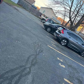 Leaf Removal by Bkreativ reviewed on December 4, 2025