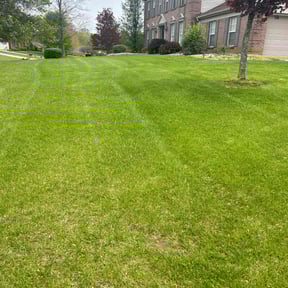 landscape maintenance by Reel Mowers reviewed on November 23, 2025