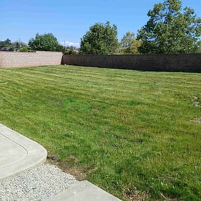 turf care by Alux rental’s LLC reviewed on August 10, 2023