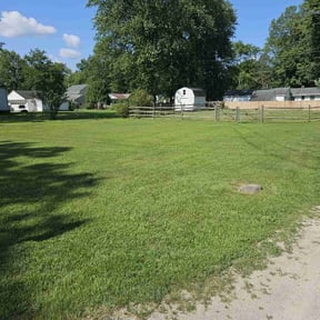 turf care by Lawn Champs reviewed on May 29, 2025