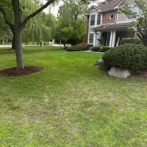 yard maintenance by KC Lawncare reviewed on August 21, 2025