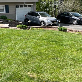 Leaf Removal by Kenny&#039;s Nice -N- Neat lawn servers reviewed on August 15, 2025