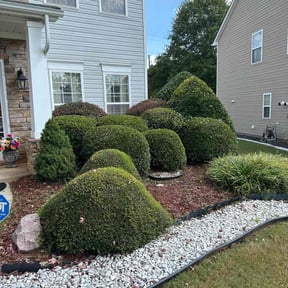 Bush Trimming by Jim’s lawn’s l l c reviewed on November 8, 2025