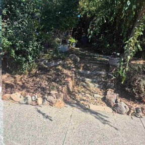 Bush Trimming by Plant Your Dreams Design reviewed on December 3, 2025