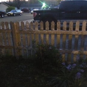 Bush Trimming by Electric Cut Lawn Care reviewed on August 16, 2025
