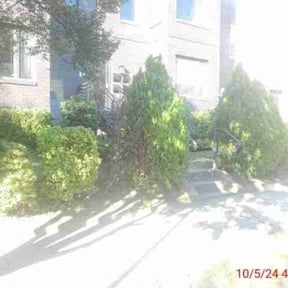 Bush Trimming by Medlyn Services L.L.C reviewed on August 15, 2025