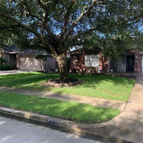 yard work by real lawn service reviewed on August 15, 2025