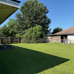 turf maintenance by County Line Services reviewed on August 17, 2025